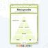 Darba lapa – Uztura piramīda: Izpēti un uzzīmē pārtikas grupas!